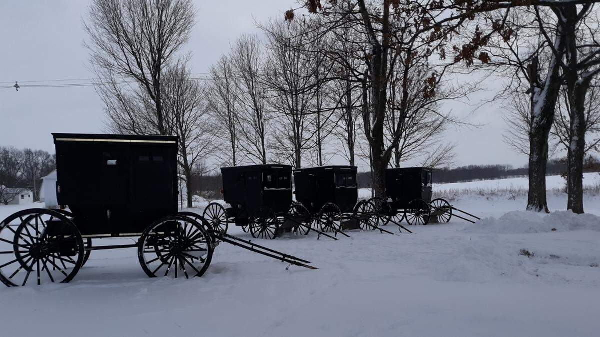 Getting around in buggies on the snow and ice with cold temperatures? Not for the faint of heart.