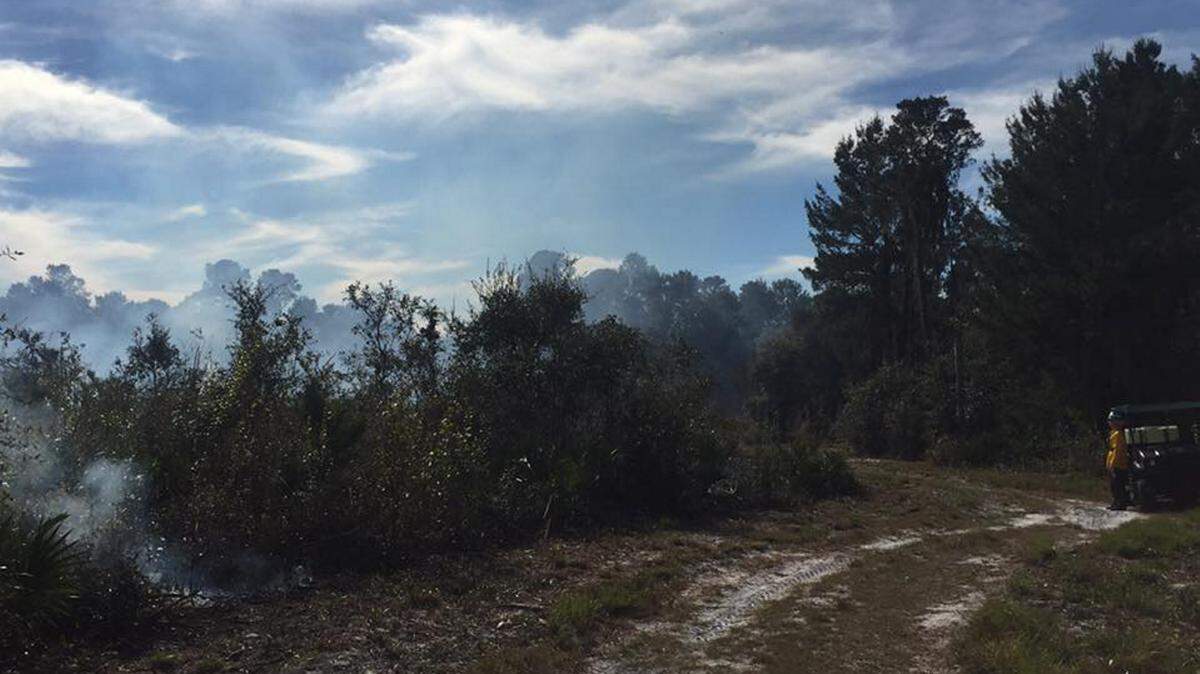 A prescribed fire took place Wednesday at Rye Preserve. 
 PHOTO PROVIDED