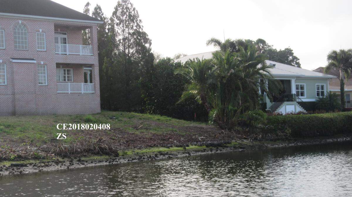 Mangroves behind a home in the 700 block of Hillcrest Drive were removed without a permit earlier this year. The homeowner, Marcia Sloulin, faces two misdemeanor charges.
