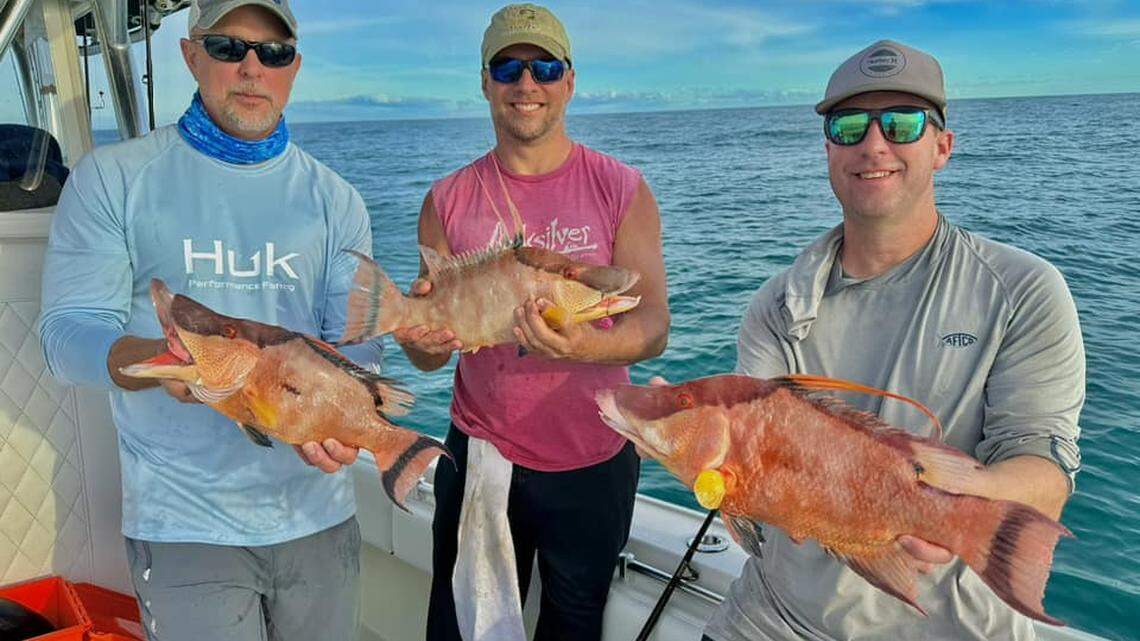 Bradenton fishermen use weather to their advantage for an impressive hogfish catch