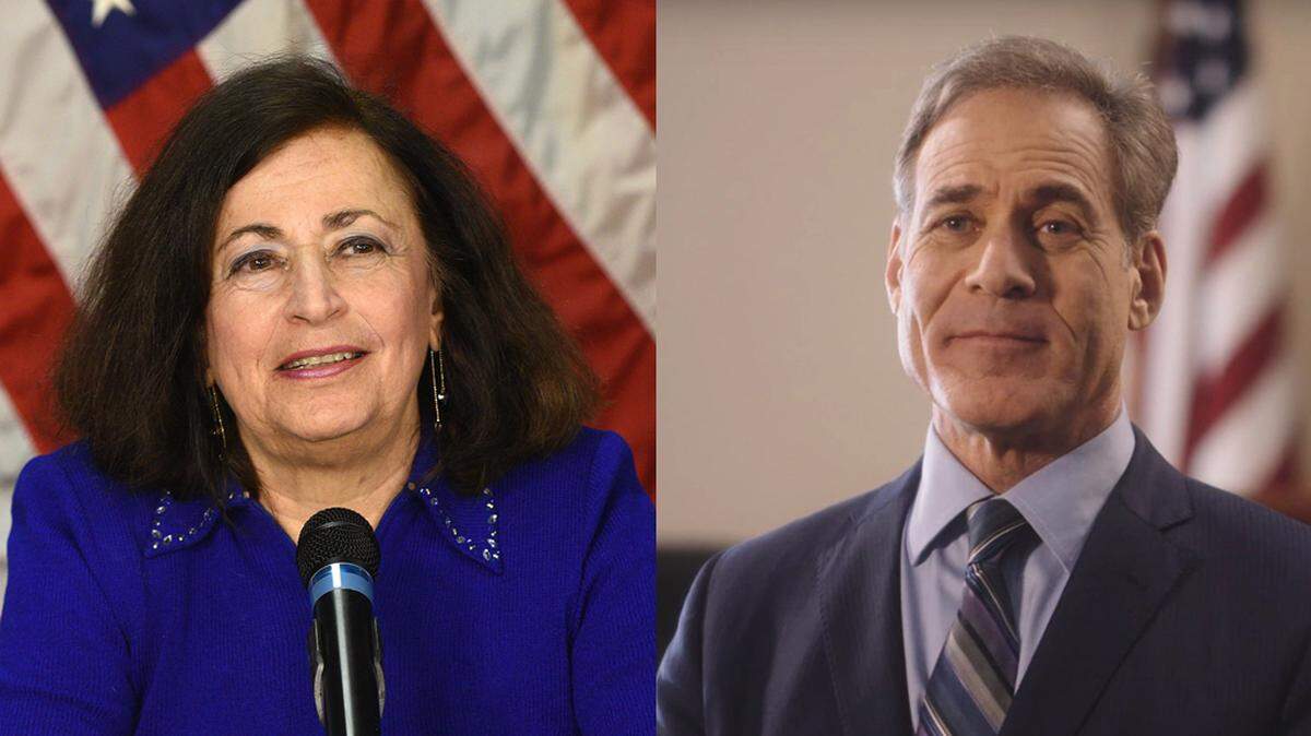 Sarasota lawyers Jan Schneider (left) and David Shapiro and running against one another for the Democratic nomination in the primary election on Tuesday, Aug. 28.