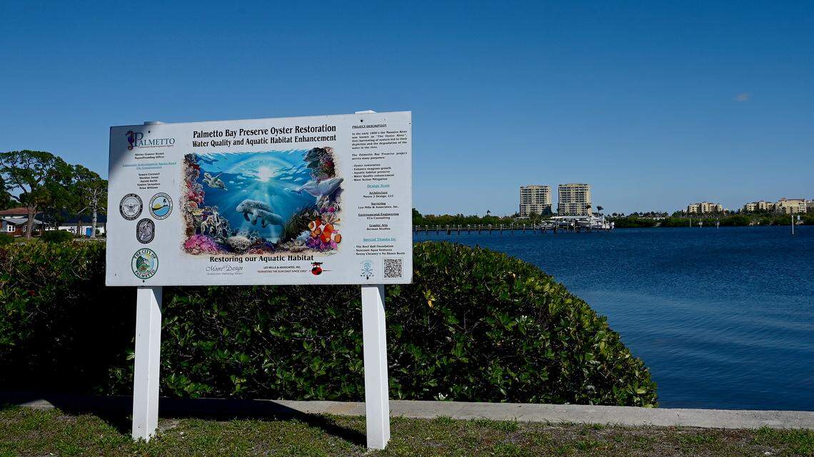 Palmetto placed reef ball clusters in an area of Palmetto Bay as part of their oyster restoration project to improve water quality and enhance the aquatic habitat. Here is the area shown on Feb. 23, 2026.