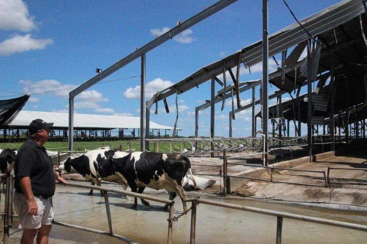 In 2017, Jerry Dakin was looking at damage to Dakin Dairy facilities. Some of the buildings had their roofs damaged by Hurricane Irma. The Myakka City dairy is the last of its kind in Manatee County.
