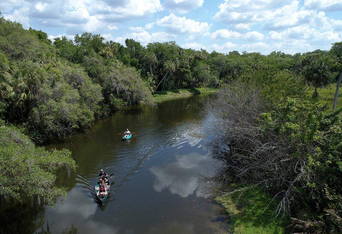 04/06/21--Canoers paddle on the waterway of Frog Creek just south of Piney Point in Palmetto where millions of gallons of contaminated water have been released into Tampa Bay.