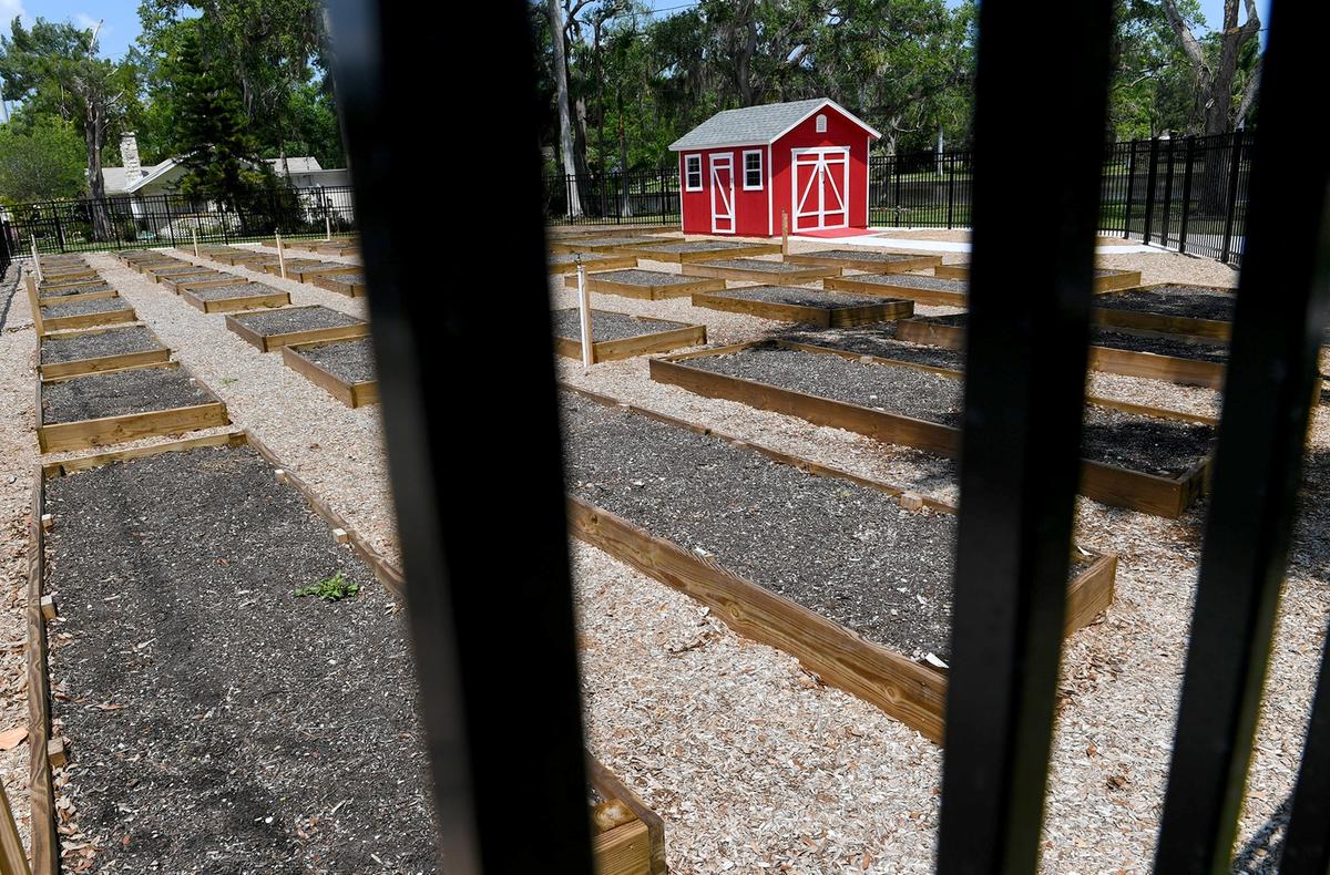 The city of Bradenton will officially open the new John & Rebecca Neal Park on Wednesday. The park, tucked into a parcel along Ware's Creek, will be a place kayakers and canoes can launch and has a small community garden behind a fence.