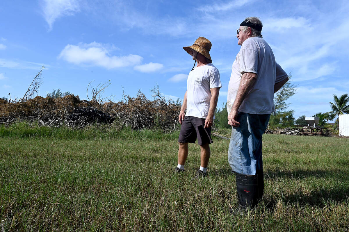 Steffen Geraldson and beekeeper David Blinn look around and see bee boxes scattered around the property. Blinn keeps bees on the land and lost all 75 colonies when they drowned. The Geraldson’s small farm in northwest Bradenton suffered devastating losses from the stormwater surge in Hurricane Helene. The family has been farming since the 1960s.