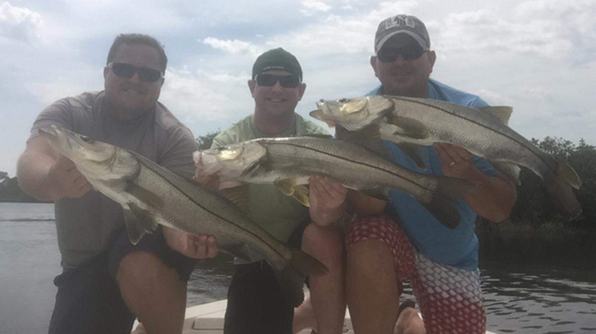 From left, Kevin Johnson, Dan Blanchard and Jerry Johnson hold some of the four slot snook they caught while fishing near mangrove shorelines on Saturday. Snook fishing has been good around Tampa, Terra Ceia and Sarasota Bay this week for anglers using live whitebait. PROVIDED PHOTO