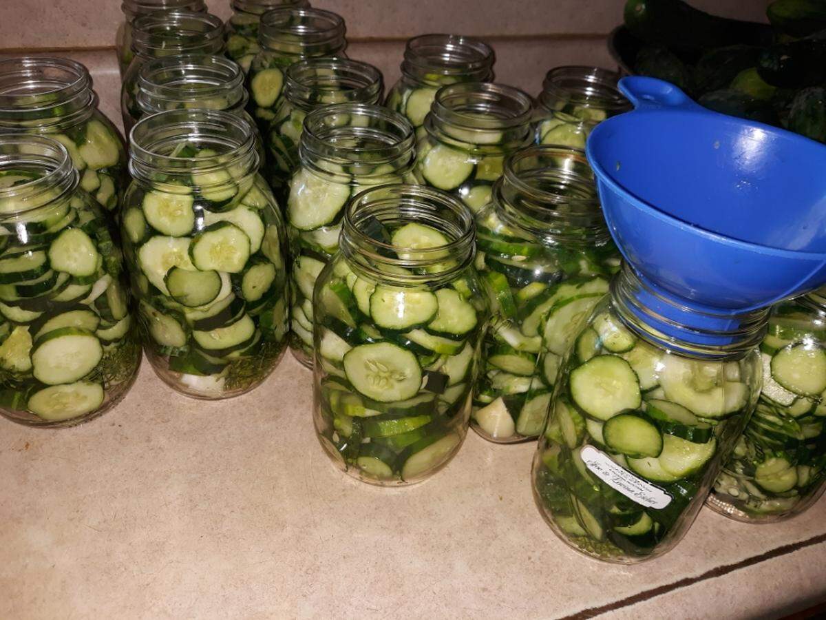 Jars of sliced cucumbers ready to be filled with pickling brine and then canned.