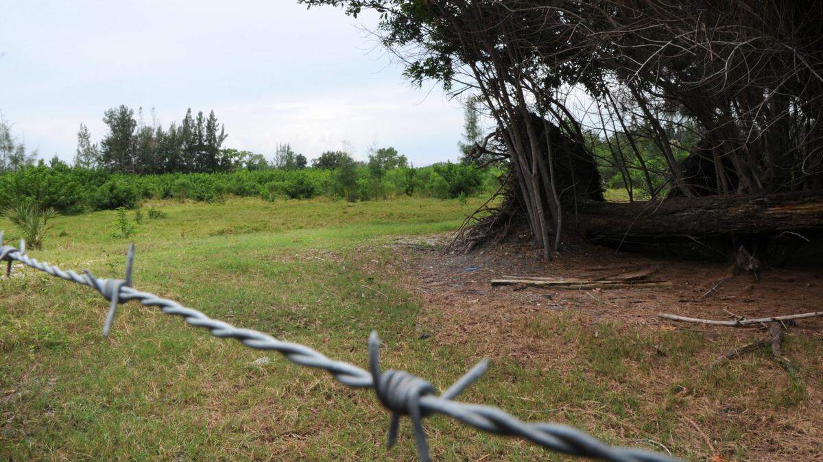 Neal Communities has purchased about 20 acres on 17th Avenue NW that it plans to build into a subdivision. GRANT JEFFERIES/gjefferies@bradenton.com