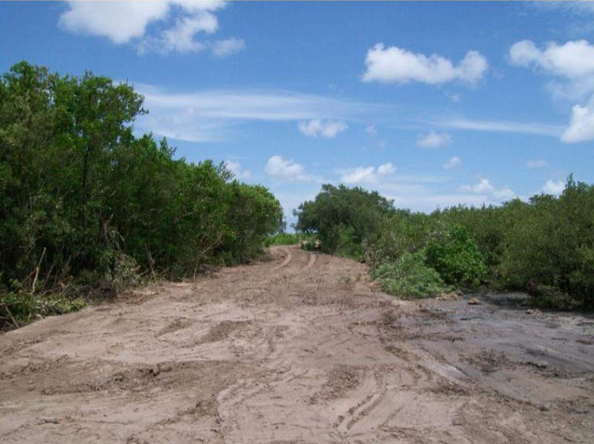 The 26-million-gallon sewage spill on a line belonging to Longboat Key forced the removal of a large swath of mangroves in order to reach the break 12 days after it is believed to have started.