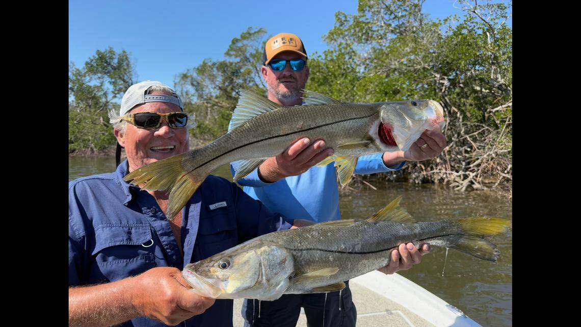 ‘Epic days.’ Bradenton-area fishing captain has tips for catching snook around Tampa Bay