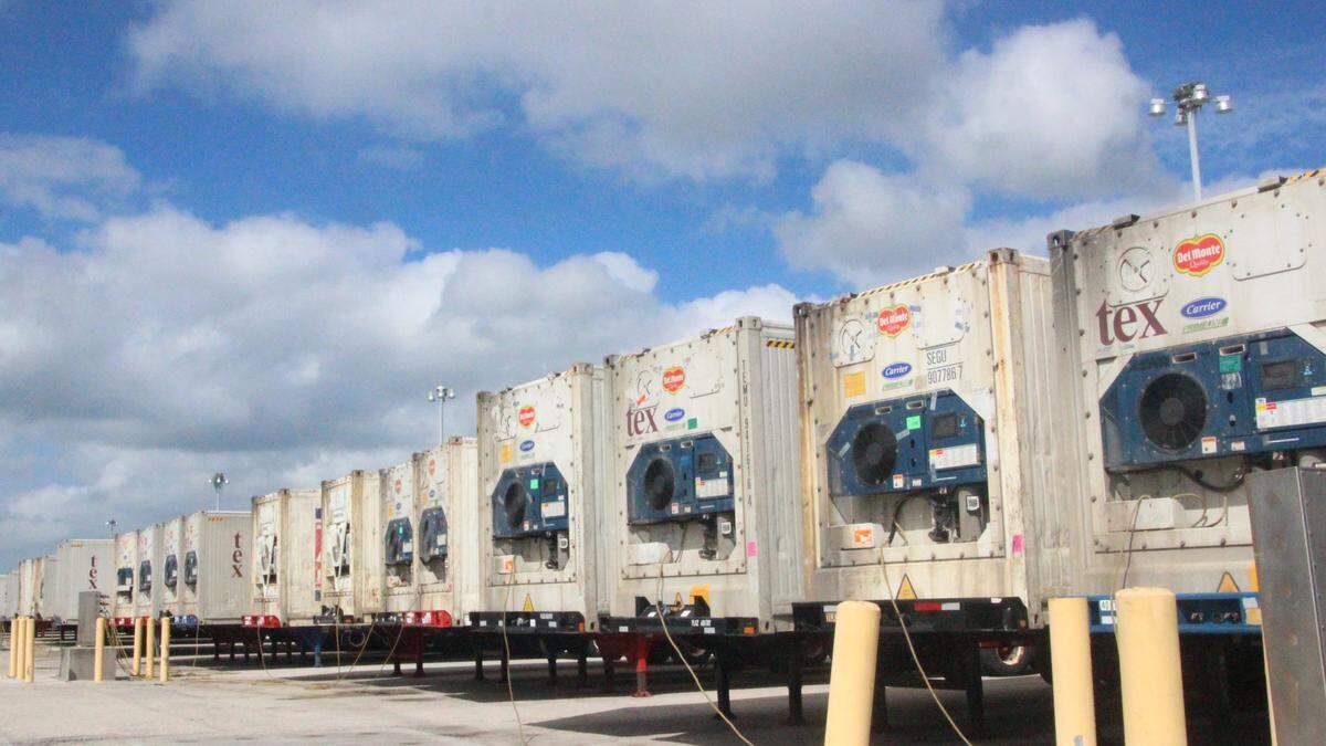 Refrigerated trailers used to ship perishable cargo are lined up at Port Manatee.