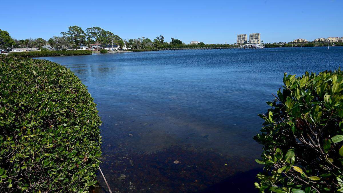 The city of Palmetto’s Community Redevelopment Agency placed reef ball clusters in an area of Palmetto Bay as part of their oyster restoration project to improve water quality and enhance the aquatic habitat. The project area is pictured on Feb. 23, 2026.