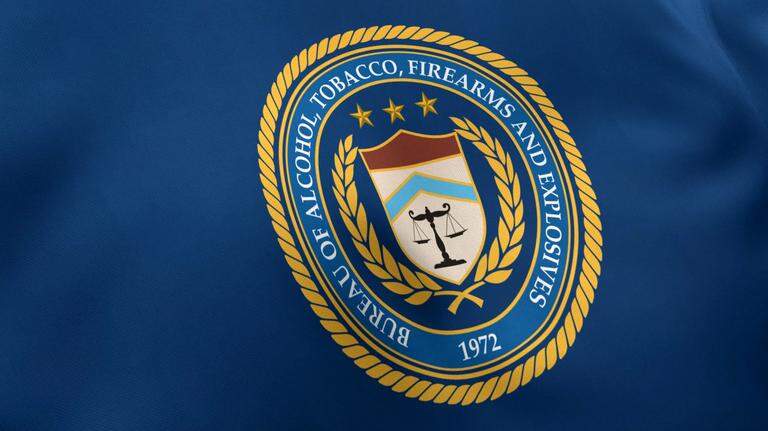 Palmetto man faces up 10 years in prison for lying on gun form, feds say