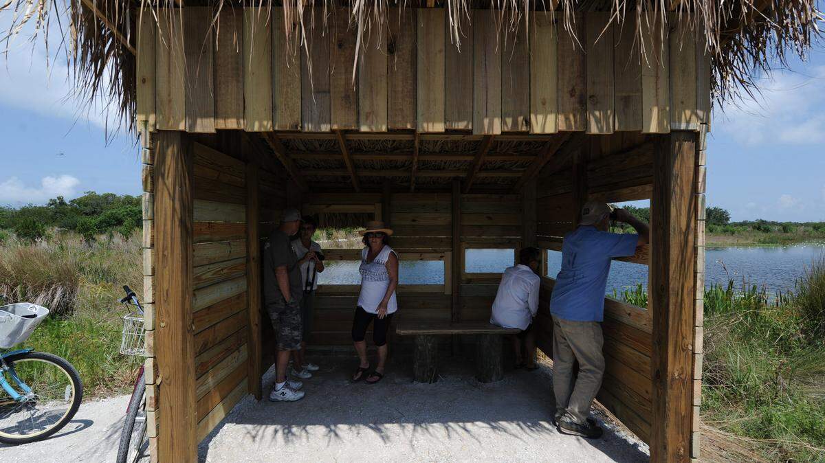 People are able to watch birds from a bird blind in Perico Preserve, Manatee County's newest conservation land. The 176-acre preserve opened to the public Saturday and serves as a haven for birds and wildlife. 
 GRANT JEFFERIES/Bradenton Herald