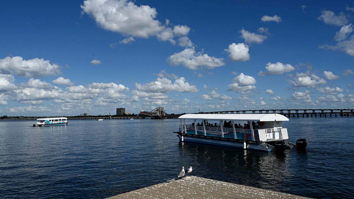 How popular is Manatee’s water taxi? Busy enough to add another boat, officials say