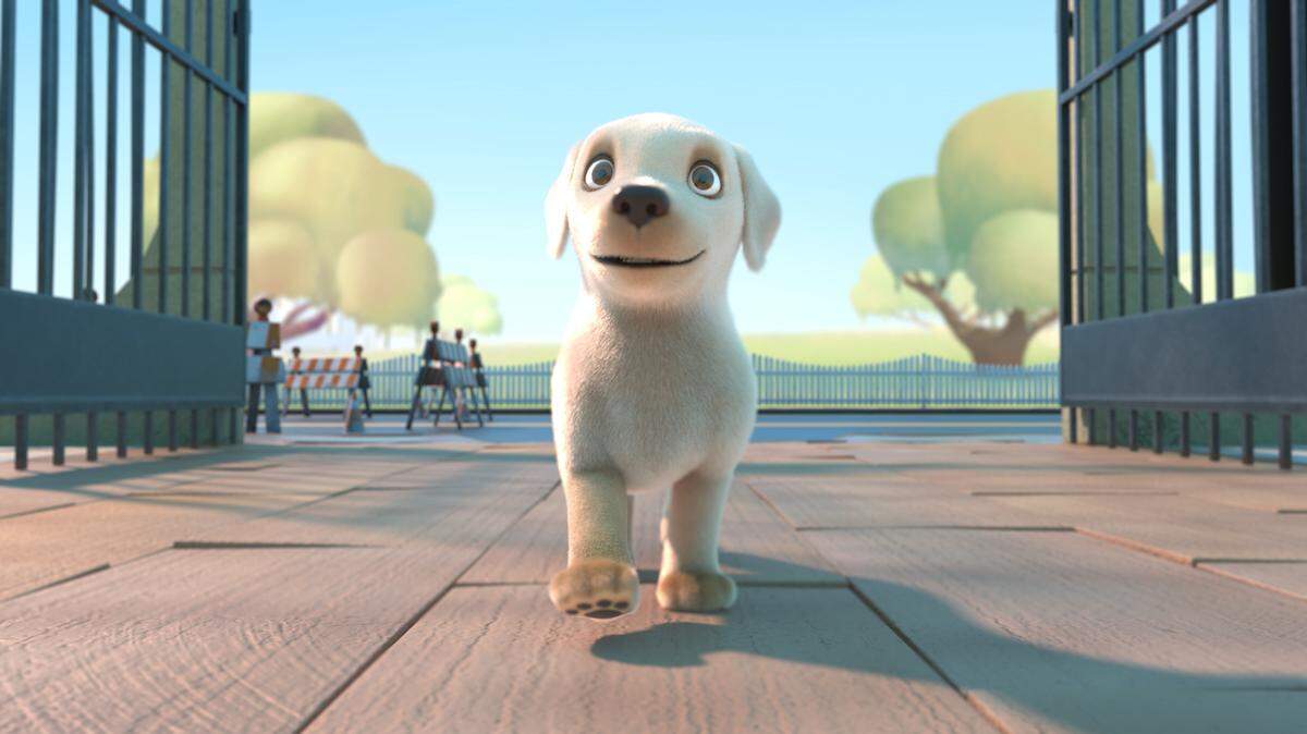 Southeastern Guide Dogs premiered a short film Wednesday about a tiny pup named Pip who enrolls at Southeastern Guide Dogs “Canine University” to become a guide dog.