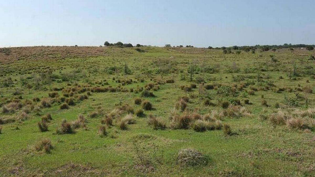 The “mound” on 200 acres of vacant land west of Bill Evers Reservoir was an issue for developer Taylor Morrison wanting to build housing in East Manatee. Taylor Morrison home builders and the city of Bradenton have reached an agreement in 2016 to reduce the sale price to $10.5 million.