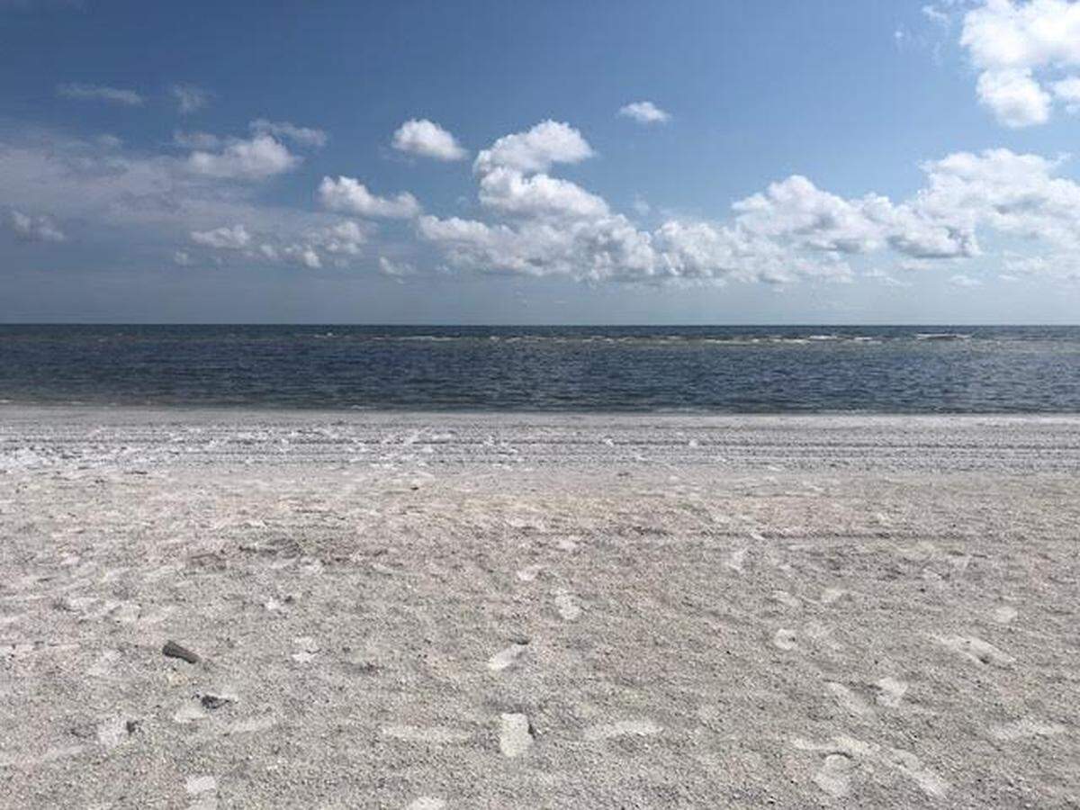 Lido Beach was empty on Thursday afternoon as a result of the effects of the red tide that has plagued the area for weeks. A “no swim” advisory was issued for five beaches including Lido as a result of high levels of bacteria.