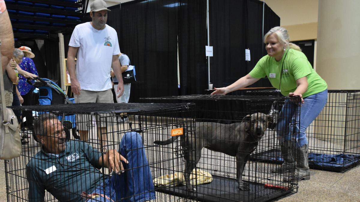 Executive Director of the Humane Society of Manatee County Rick Yocum (left) climbed into a dog kennel at the 5th Annual Adopt-A-Palooza on Saturday, Aug. 3, in an attempt to get one of his organization’s last dogs, Winnie (right), adopted.