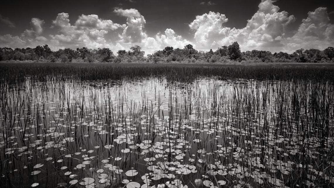 Socially-distanced fun: 5 things to do around Bradenton this weekend