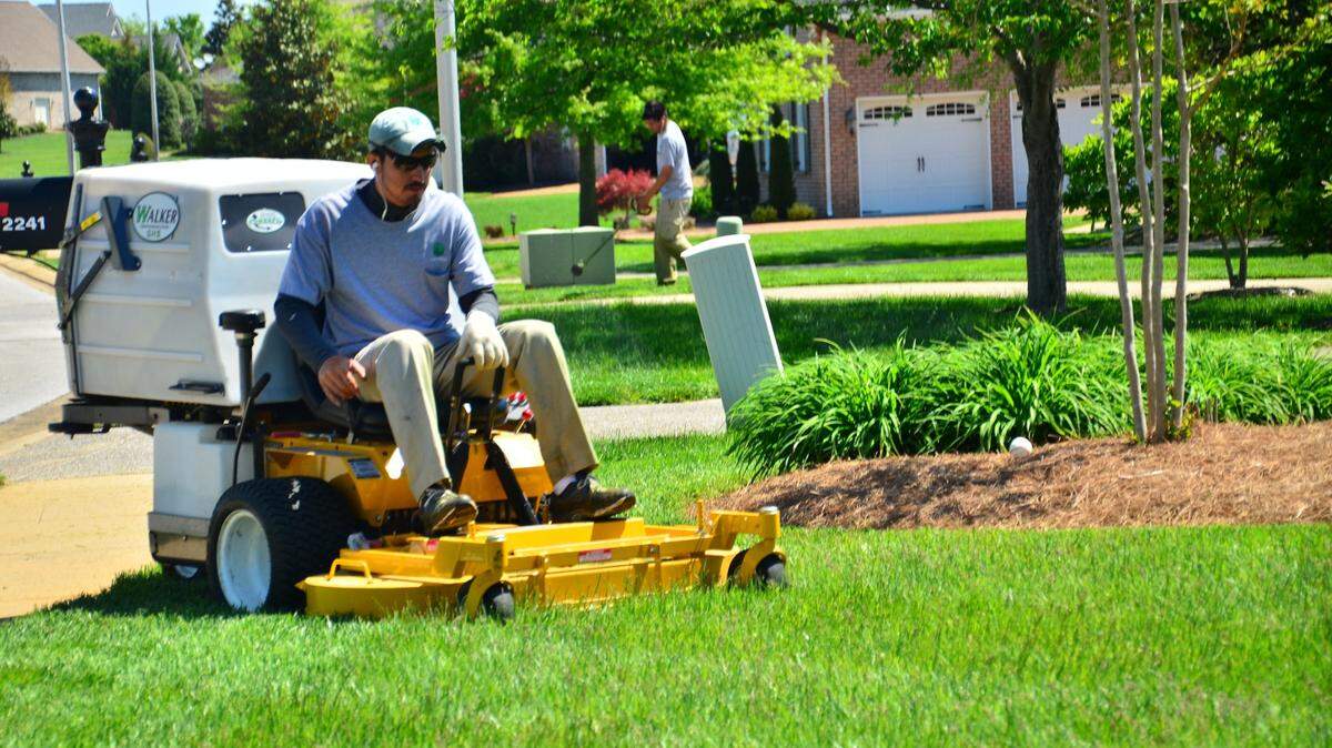 A new online service will allow local homeowners to get local lawn service providers to bid on their properties in a no-contact environment.