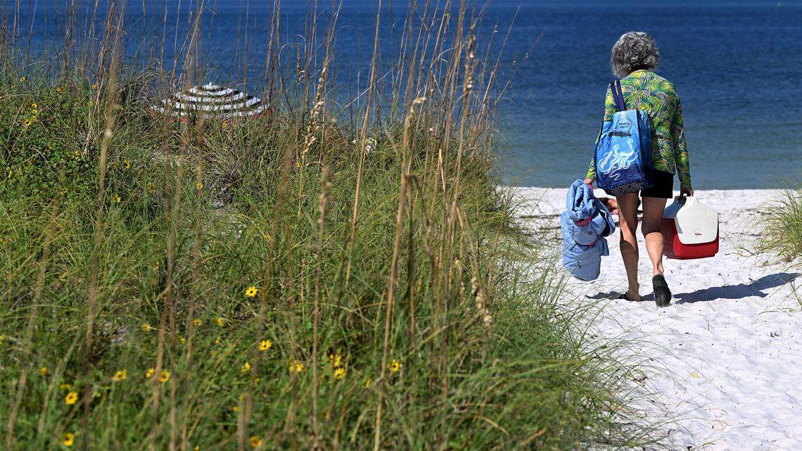 Should Manatee County tourists pay more when visiting? Voters will decide in election