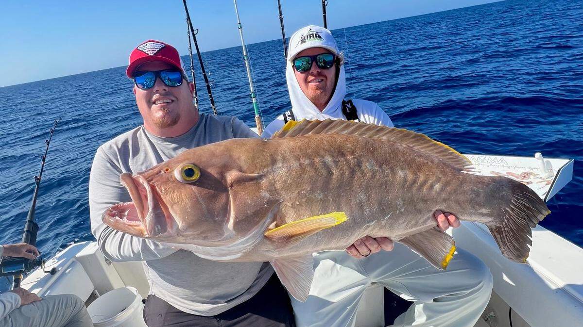 A Bradenton-area fisherman caught a giant yellow edge grouper, just short of a world record, while deep-sea fishing in the Gulf of Mexico.
