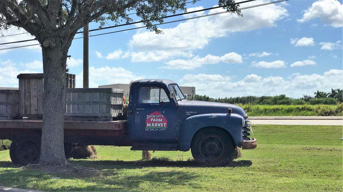 Detwiler’s Farm Markets recently purchased the 48.5-acre C&D Fruit and Vegetable Farm at 16505 State Road 64 E. Shown is a vintage flatbed truck parked in front of Detwiler’s Palmetto store.