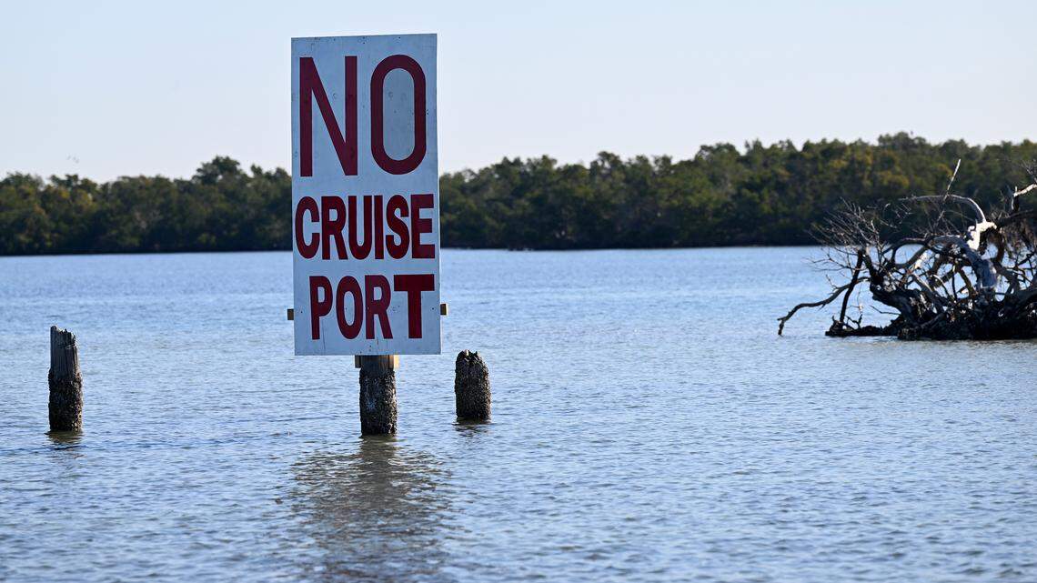 Will Florida lawmakers block Manatee cruise port plan? What a new bill says