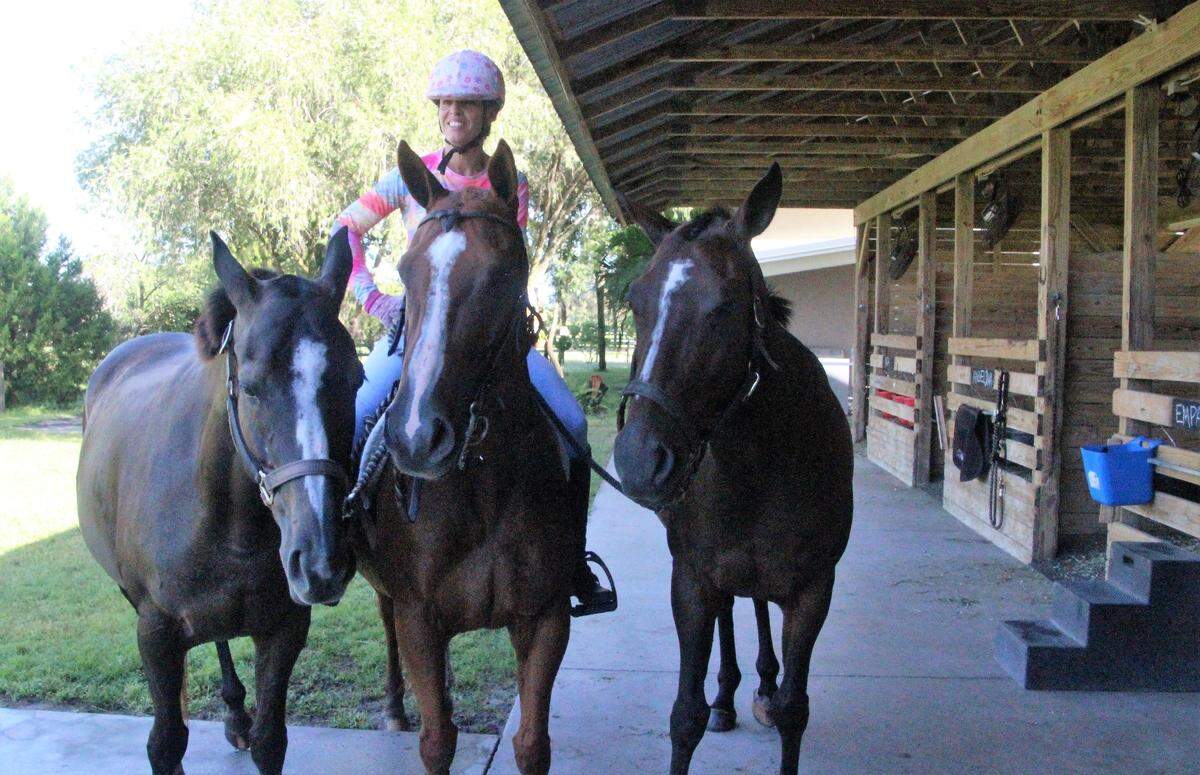 Uli Link prepares to exercise horses at Epic Equine Experiences, a new business based in Lakewood Ranch.