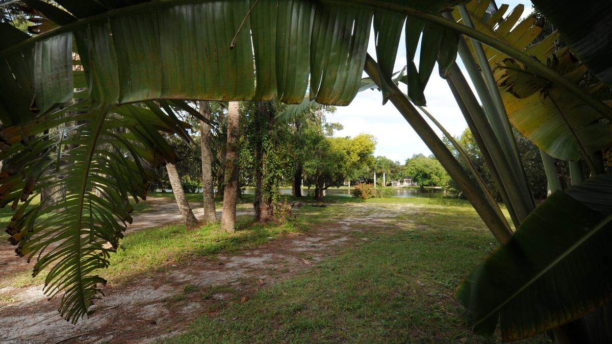 Tropical plants and moss laden oaks highlight John and Rebecca Neal Park in the Ballard neighborhood of Bradenton. The proposed park sits on the banks of Wares Creek and will feature a community garden, dock, kayak launch and parking area. 
 GRANT JEFFERIES/Bradenton Herald