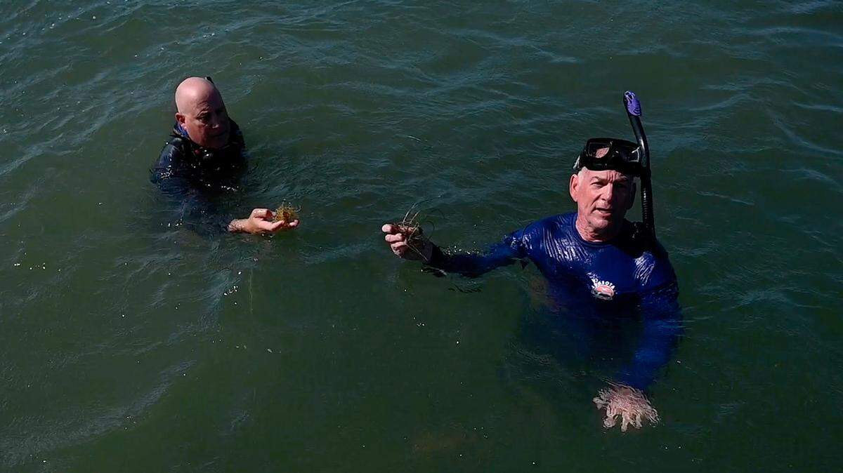 State seagrass expert Chris Anastasiou and Sarasota Bay Estuary Program Executive Director David Tomasko swim in upper Sarasota Bay on a trip to check how seagrass beds are faring after 2024’s hurricane season.