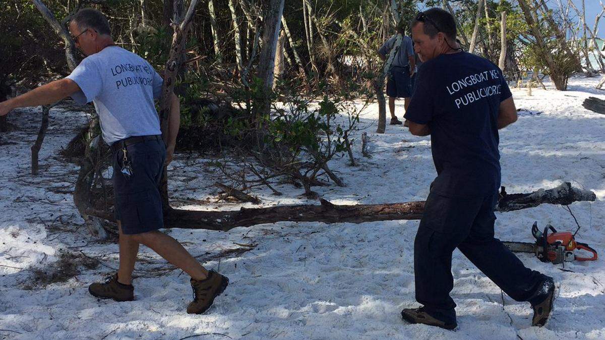 Workers on Beer Can Island were removing graffiti-marred driftwood Thursday. 
 MARC MASFERRER/Bradenton Herald