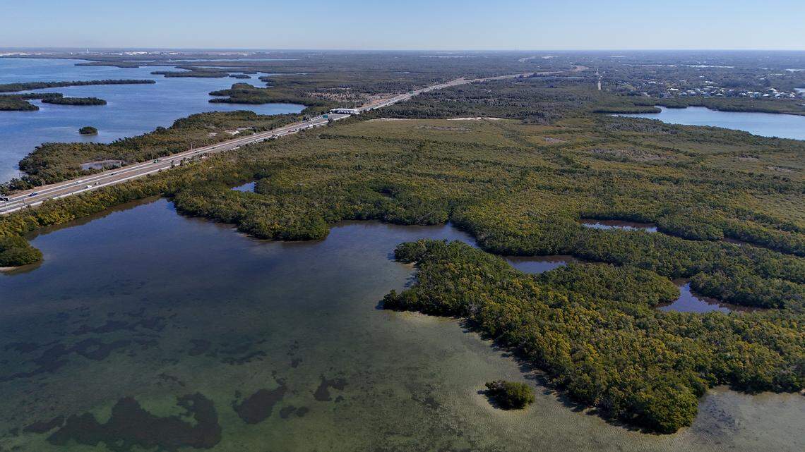 Florida lawmakers say a new bill aims to block a proposal for a cruise port in coastal Manatee County, near where the Terra Ceia Aquatic Preserve meets Tampa Bay.