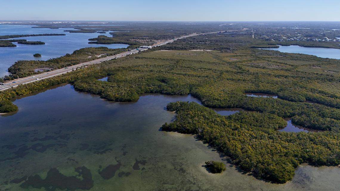 New Florida law to block Manatee cruise port may have loopholes. What to know