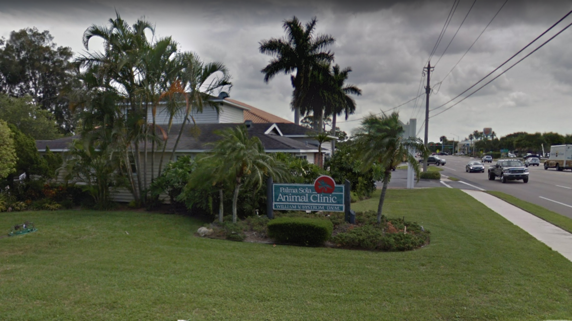 Bradenton woman charged with embezzling money from veterinarian clinic for 17 years