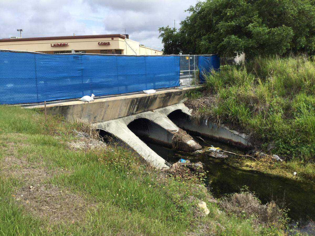 A drainage tributary to Ware's Creek is being blocked by sinkholes in Cortez Plaza East, causing flooding in nearby condo associations and creating other public safety issues.