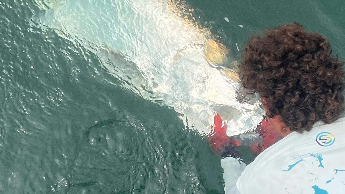 Leiza Fitzgerald and Captain Brett Norris’ team lands a tarpon as part of the 18th Annual Tampa Bay Watch Tarpon Rodeo in June 2023. Fitzgerald was taken to the hospital after her fingers got caught in the fishing line.