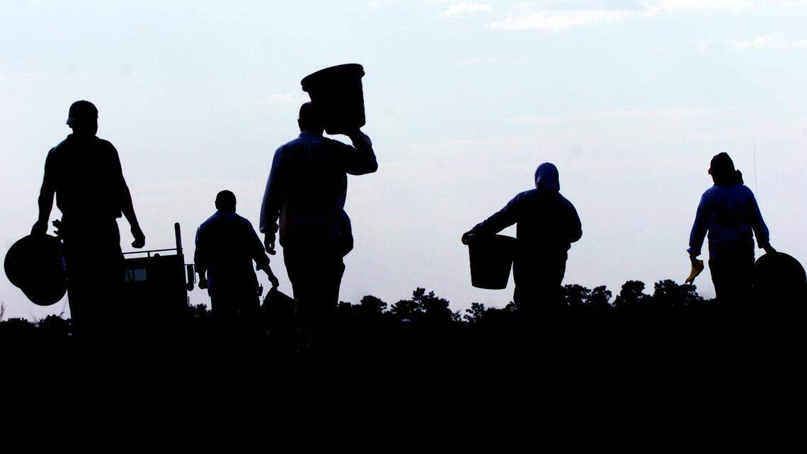 Manatee County tomato growers have long objected to what they say is unfair competition from Mexico.