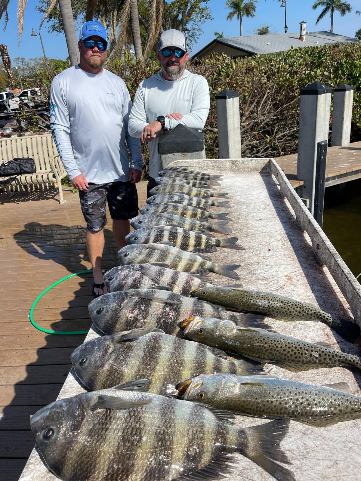 Dusty Marshall and Paul Horning pose with sheepshead caught Friday with Capt. John Gunter in Tampa Bay using Sheepballs and shrimp.