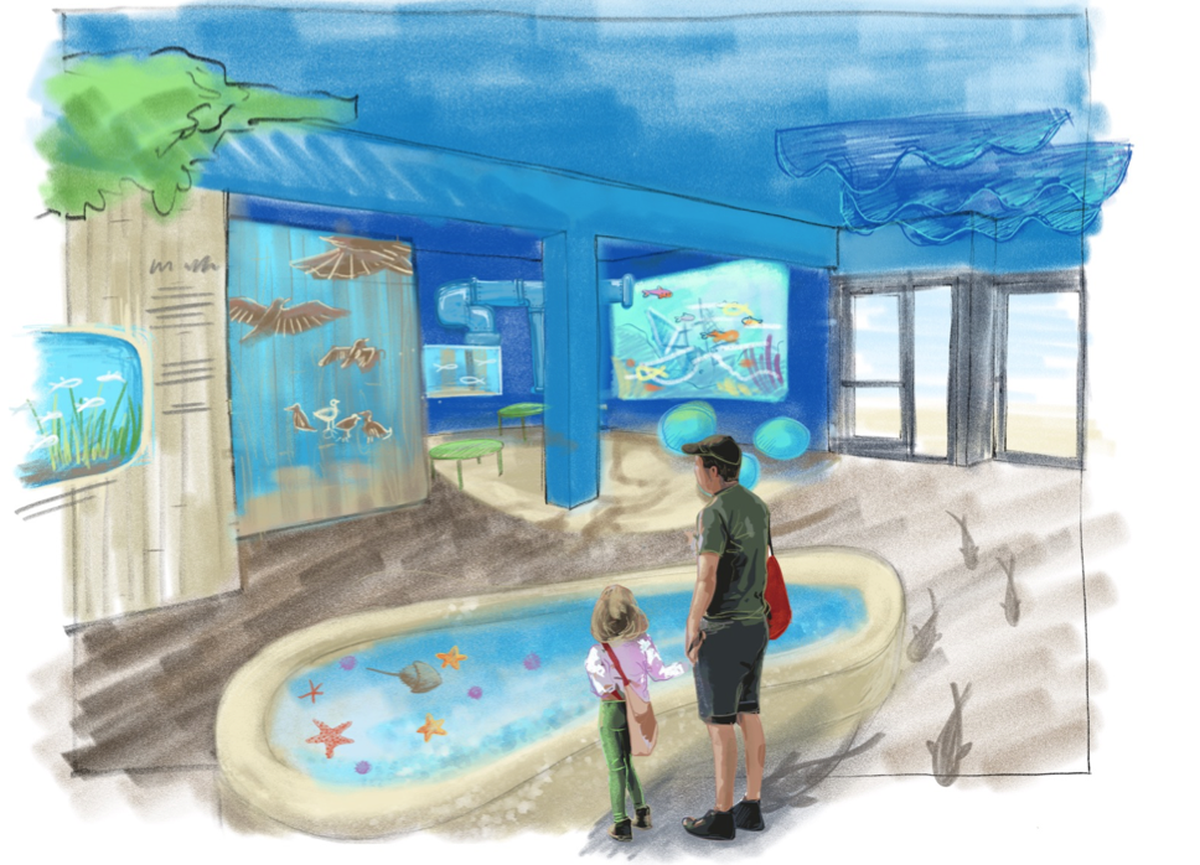Mote Marine and the City of Anna Maria expect that a marine education center could open on the city pier by March 2023, funded in part by $500,0000 in tourist taxes.