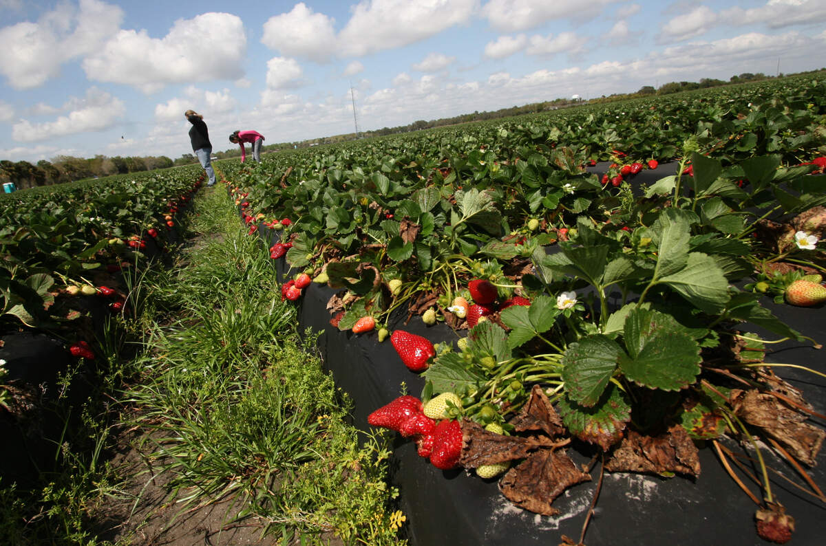 A Kentucky Senate bill would make it possible for commercial food producers to get a break on their water bills.