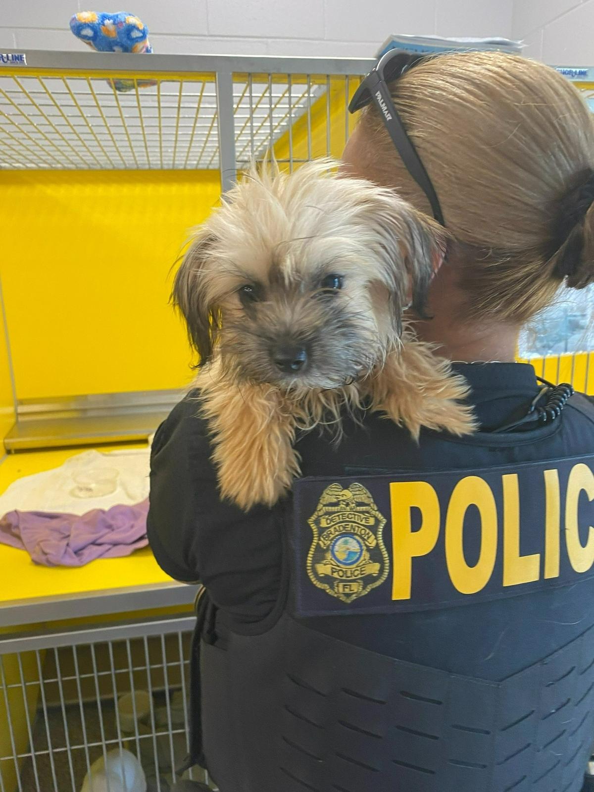A Bradenton police officer holds one of 14 dogs rescued by Manatee County Animals Services on May 7, 2022.