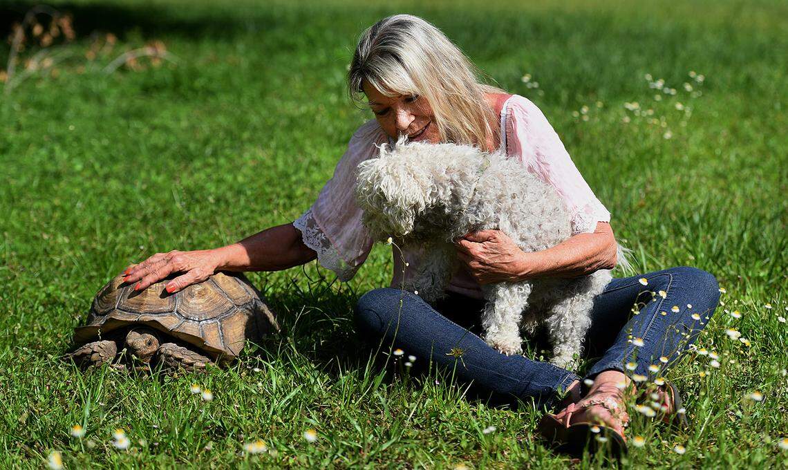Carol Ann Felts, poses for a photo on April 28, 2021, with her African spurred tortoise and dog, Junior. Felts, who served as the District 1 representative on the Manatee Board of County Commissioners since 2024, died Tuesday, Feb. 25, 2026, at the age of 68.