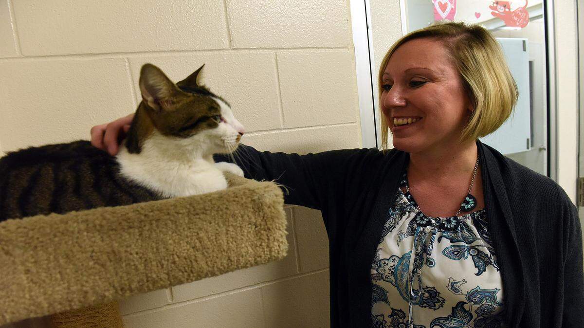 Sarah Brown, the new Manatee County Animal Services Chief, greets a cat in the cat room at Animal Services in Palmetto. 
 TIFFANY TOMPKINS/Bradenton Herald