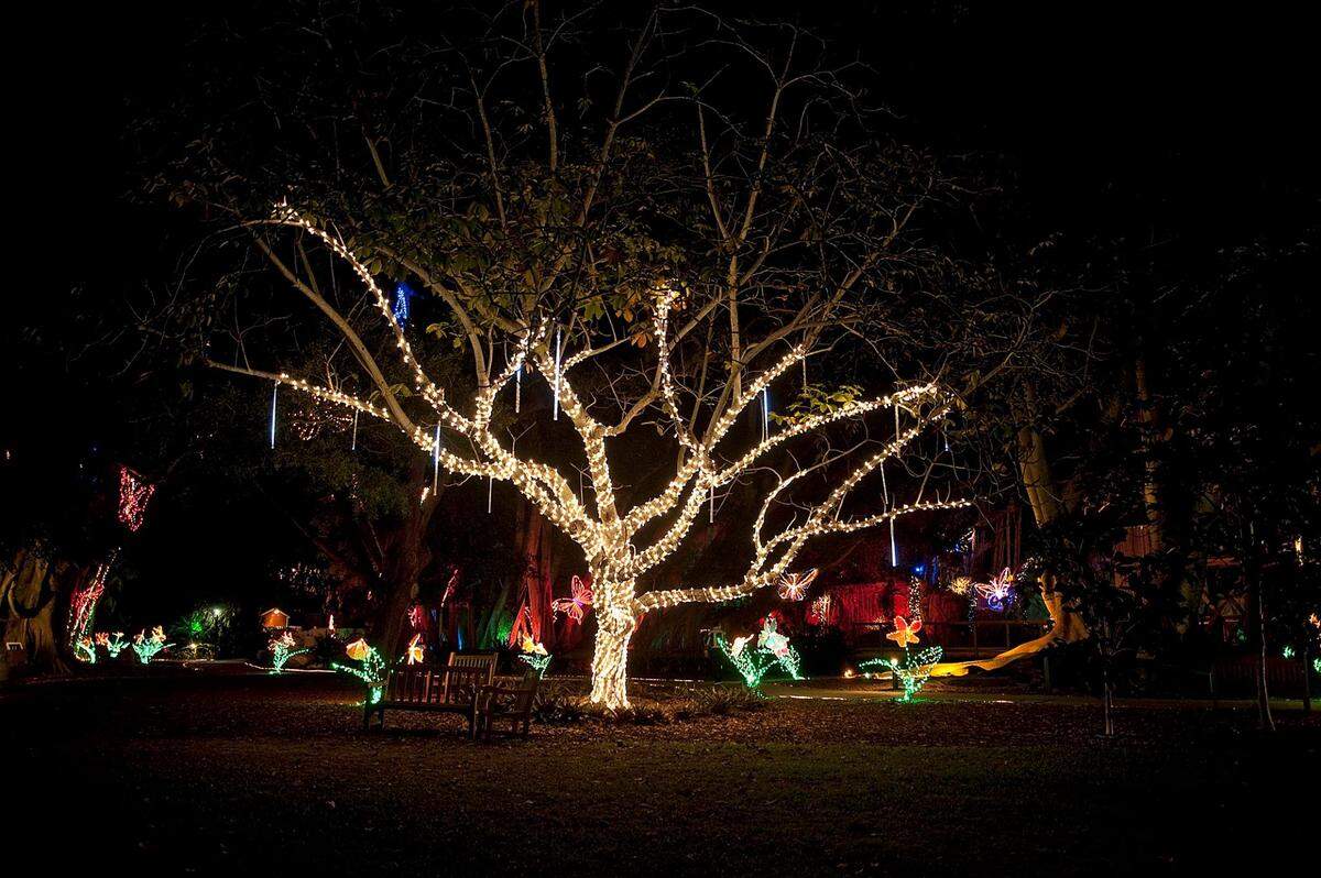 “Lights in Bloom” at Marie Selby Botanical Gardens in Sarasota runs through January 4, 2020.