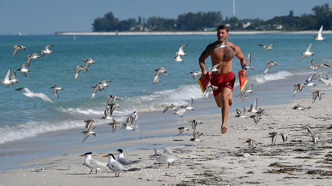 Manatee lifeguards share safety tips after over 130 beach rescues in 3 days