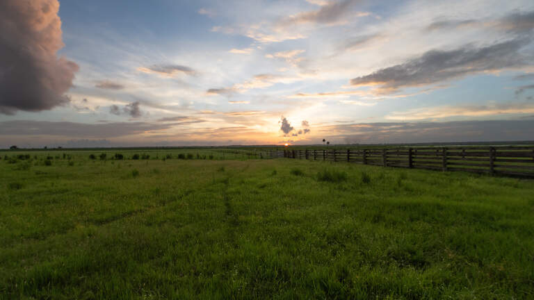 Conservation Easements: Protecting Florida’s Ranchlands Before It’s Too Late | Opinion