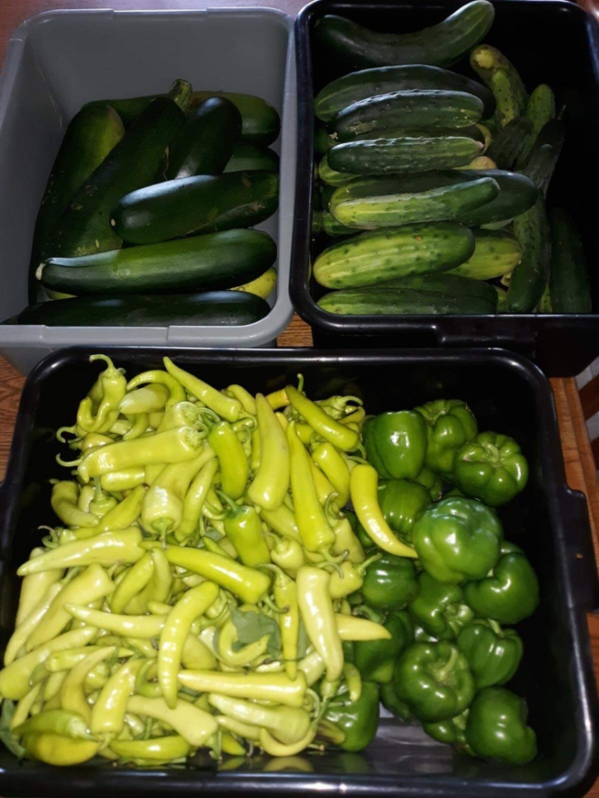 Zucchini, cucumbers and peppers provide many options for canning, cooking, and even baking into desserts.